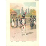 Tanconville - Napoleonic uniforms plates